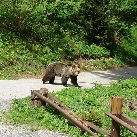 Kod Korita 게스트하우스 3*