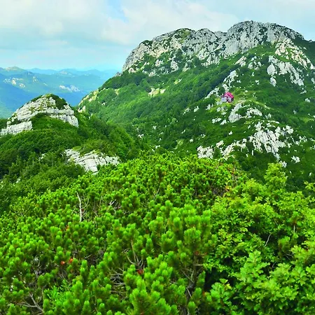 게스트하우스 Kod Korita