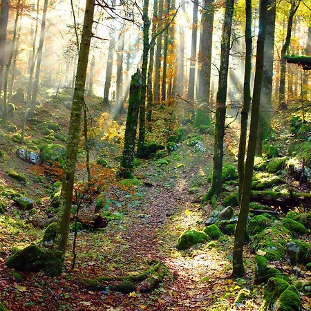 게스트하우스 Kod Korita