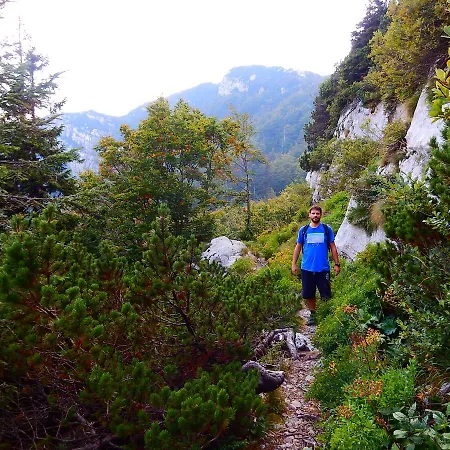 Guest house Kod Korita Crni Lug