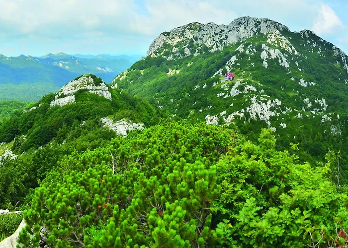 Gasthof Kod Korita