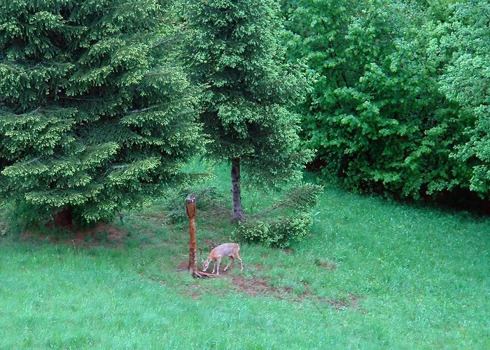 Gasthof Kod Korita Crni Lug