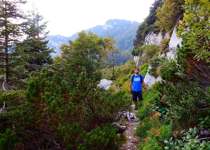 Gasthof Kod Korita Crni Lug